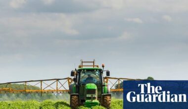 Food Sector Calls for Transition Period if UK and EU Agree Post-Brexit Rules Reset
