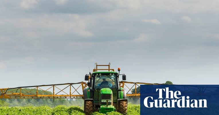 Food Sector Calls for Transition Period if UK and EU Agree Post-Brexit Rules Reset