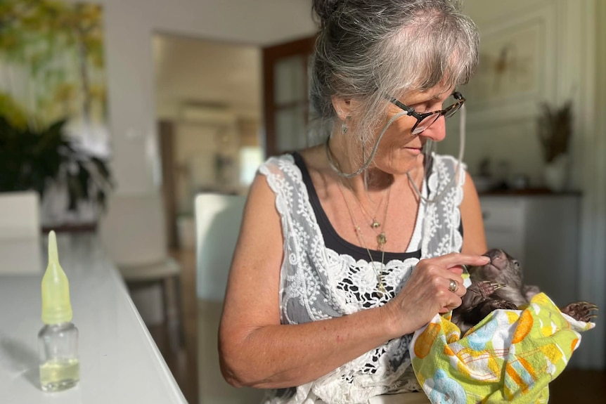 Lindy holds a young wombat in a blanket.