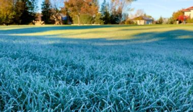 Cold weekend with temperatures below seasonal averages