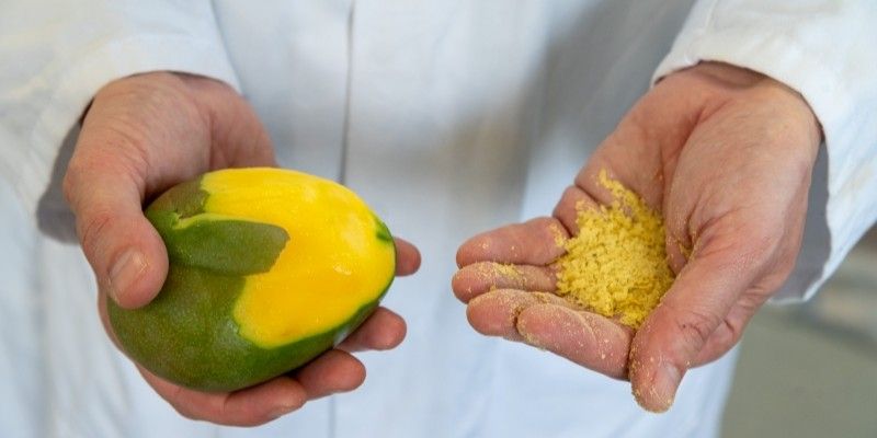 Professor Nik Watson holds a mango and peelings in his left hand and sustainable food protein flakes in his right hand.