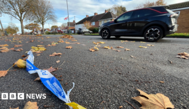 A low view of a residential road, with police tape on the ground, as well as lots of leaves. Cars and houses run across the back of the image