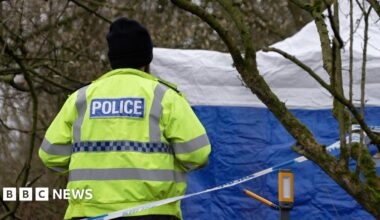 Inside the Factory: Oven Chips