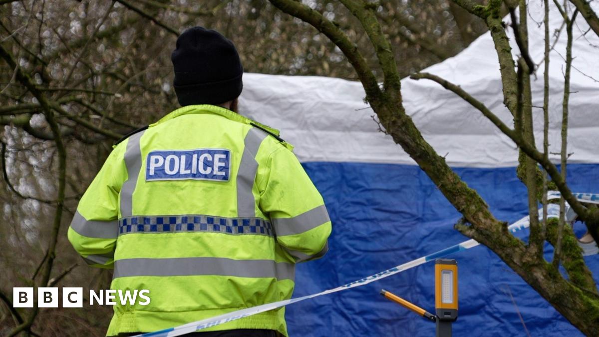 Inside the Factory: Oven Chips