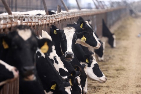 Agriculture Minister to brief on FMD status