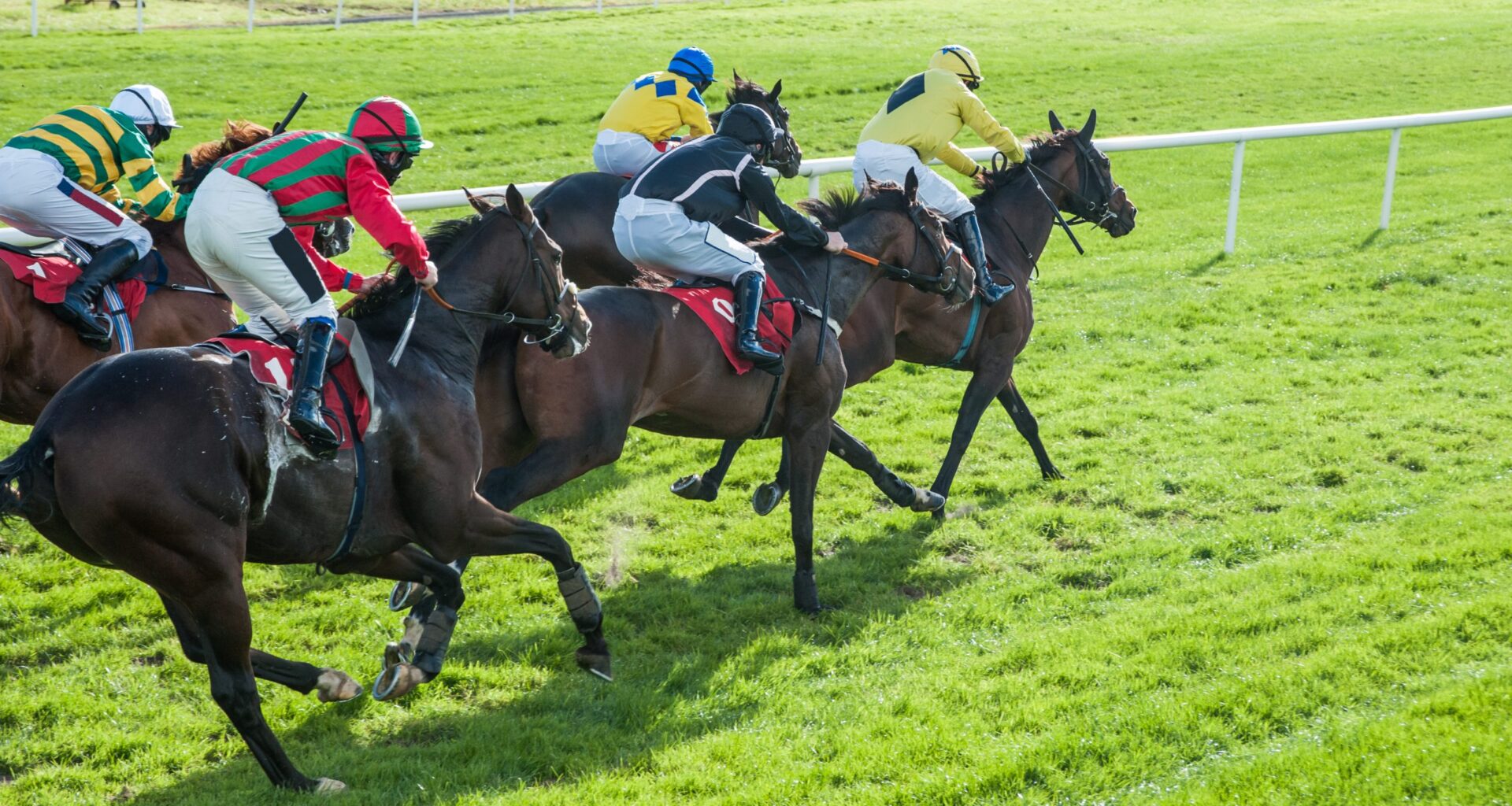 Horses and Jockeys Chepstow