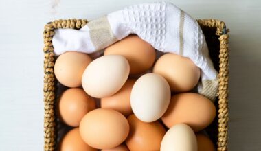 Is There Such a Thing as Eating Too Much Protein?