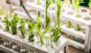 Plant breeding in lab