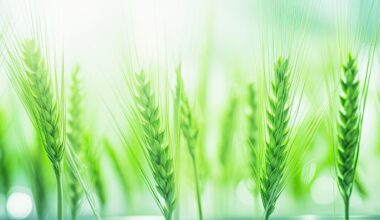 Gene editing advances must not be lost in EU negotiations NFU warns