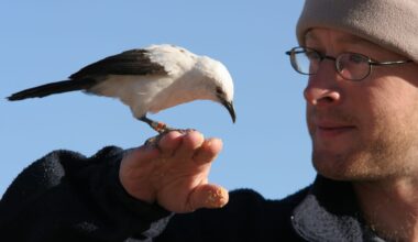 University of Bristol professor wins major mentoring award