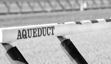 NYRA Cancels Live Racing At The Big A On Saturday