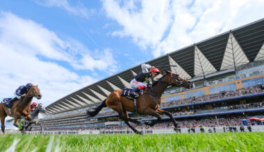 Ascot Racecourse, Racetech, Ateme, Focal Point VR and Bluebell collaborate to deliver a live immersive video stream for horse racing