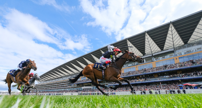 Ascot Racecourse, Racetech, Ateme, Focal Point VR and Bluebell collaborate to deliver a live immersive video stream for horse racing