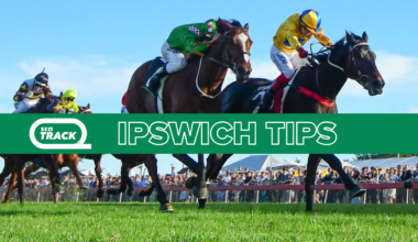 Chris Nelson's Wednesday best bets at Ipswich (21/01)