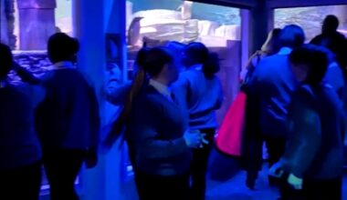 Cockburn John Charles students dive into learning at The Deep