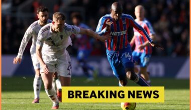 Jean-Philippe Mateta in action for Crystal Palace