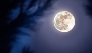 Catch The 2026 Snow Moon At Its Peak A Must See Event
