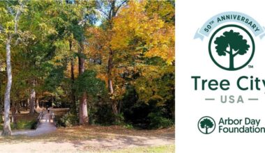Athens Recognized as 2025 Tree City USA Achievement