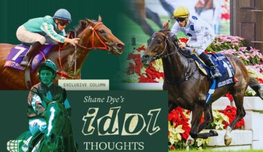 Which is the better racehorse?