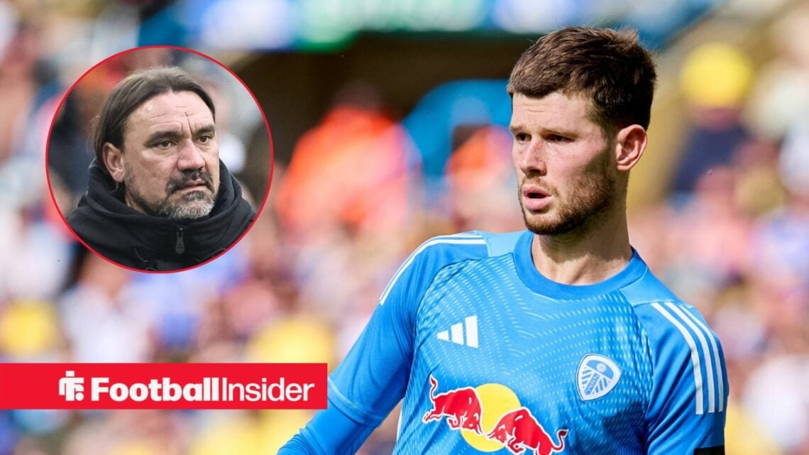 Leeds manager Daniel Farke looking perplexed on the left with a focused Illan Meslier on the right