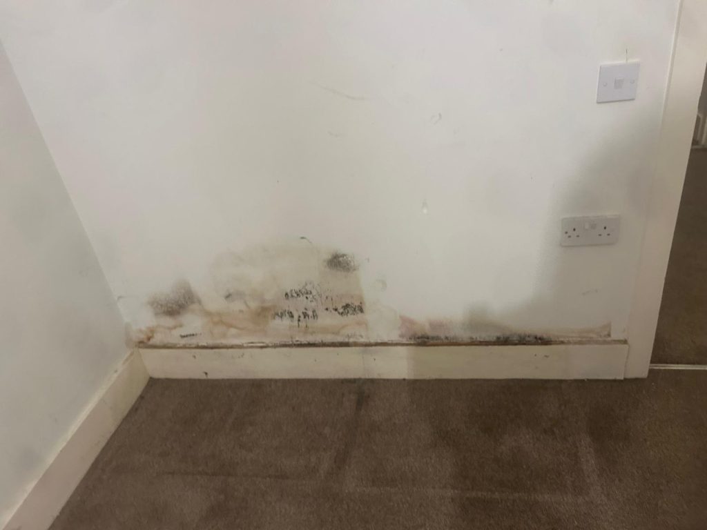 Mould in a residential property
Credit: David Jackson, Jackson Property Services London