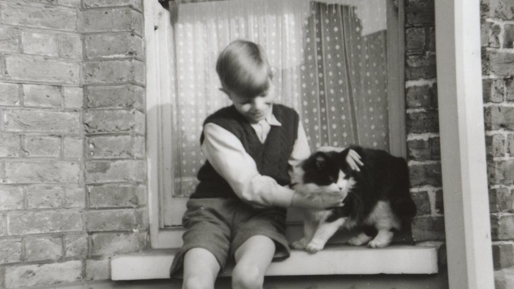 David Bowie's Childhood Home to Be Restored and Opened to the Public