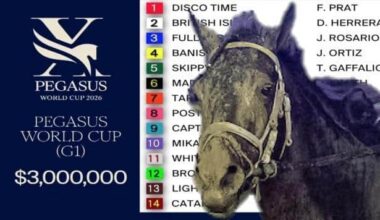 Draw, jockeys, odds for $3 million race