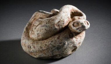 Everything We Know About the 'Bizarre' Ancient Snake Found in a London Museum