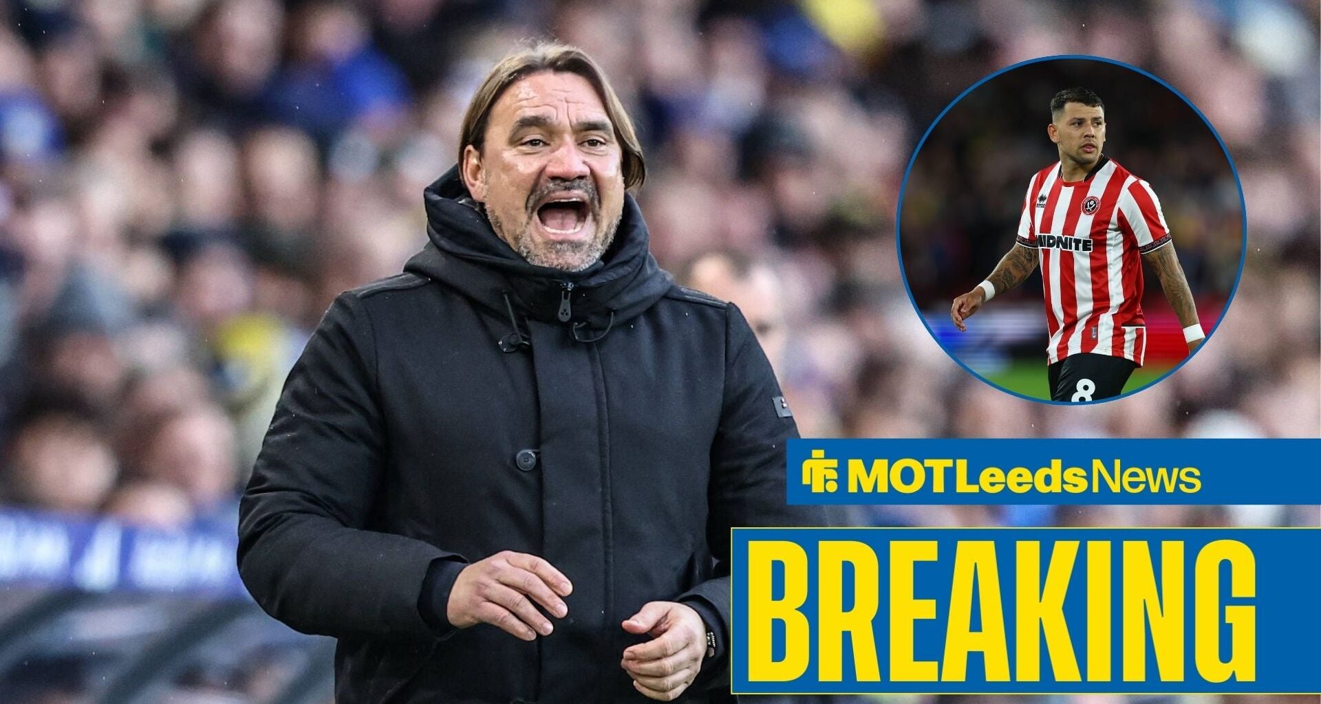 Daniel Farke must act instantly as Leeds United can finally sign Gus Hamer for bargain price