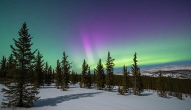 Finland Joins Poland, France, Malta, Spain, Austria, Latvia, And More Countries In Experiencing A Monumental Overnight Stay Tourism Boom, Driven By Soaring Demand And Record Revenue In Europe Travel Surge