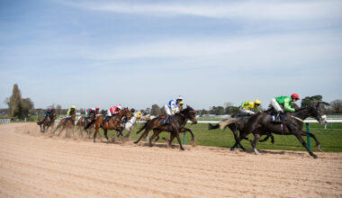 Sunday’s Best Bets Using Our NAPs Table – Paddy Power News