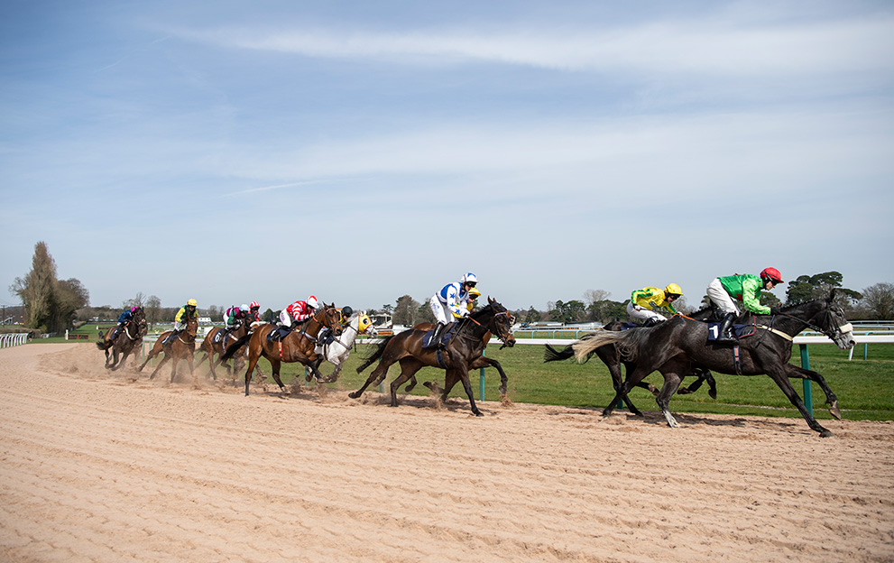 Sunday’s Best Bets Using Our NAPs Table – Paddy Power News