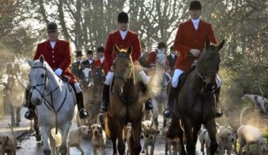 Neil Shastri-Hurst: Why banning trail hunting is a bad law and a bad idea