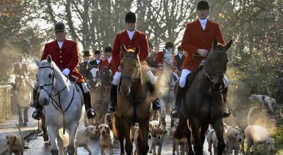 Neil Shastri-Hurst: Why banning trail hunting is a bad law and a bad idea