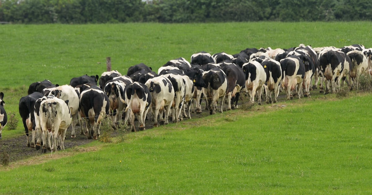 EU vote on Mercosur trade deal with South American nations takes place on Friday – The Irish Times