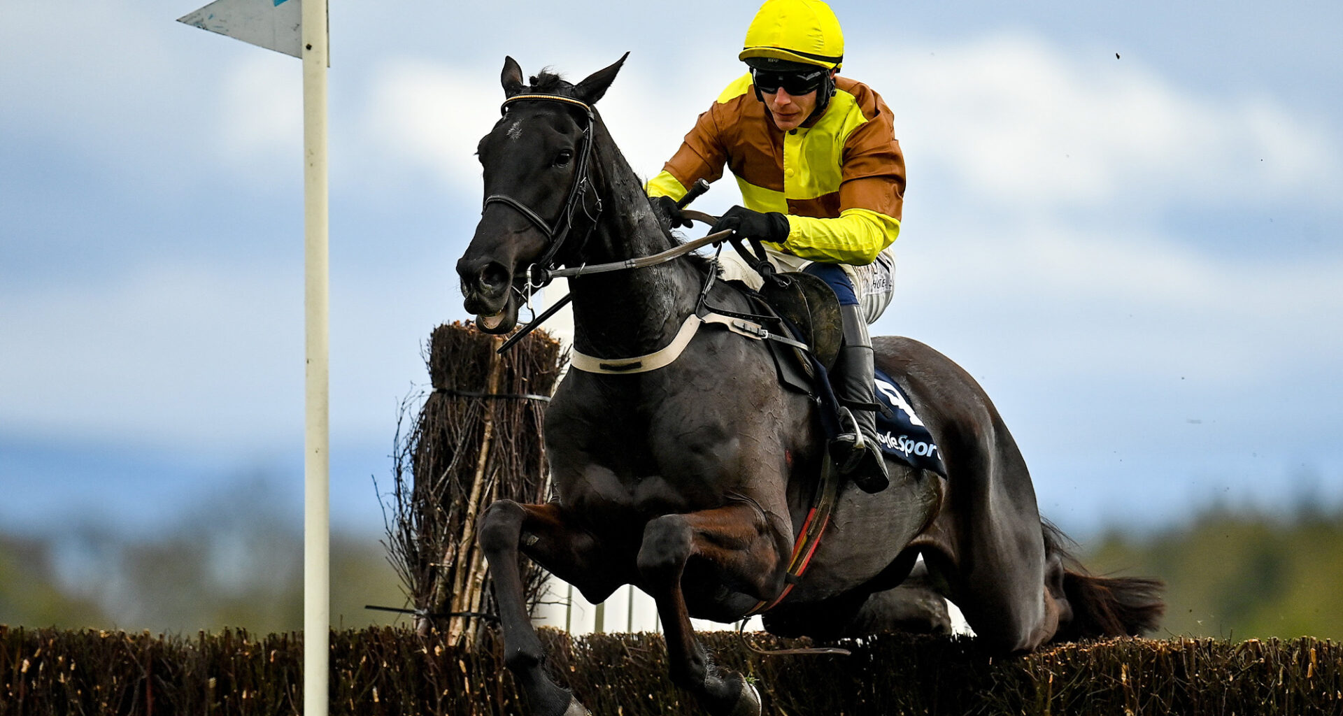 Cheltenham Gold Cup runners and riders: entries for 2026 race