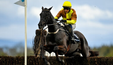 Cheltenham Gold Cup runners and riders: entries for 2026 race