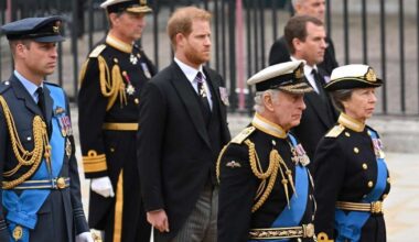 King Charles & Prince William’s Reunion With Prince Harry Unlikely — Expert