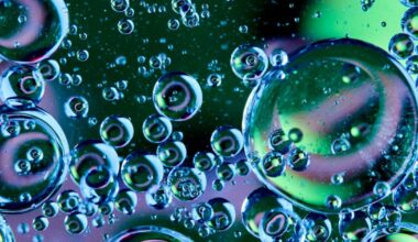 New rules streamlining chemical assessments enter into force