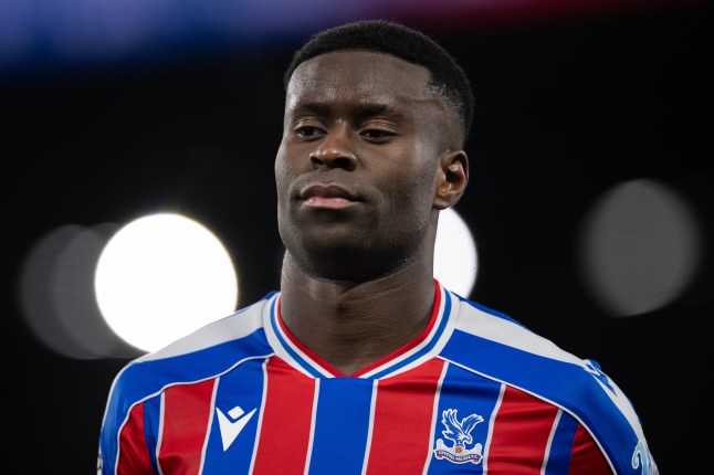 Crystal Palace v Fulham - Premier League