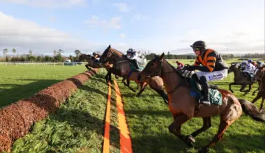 Gowran Park Thyestes Chase trends for Thursday 3.30 – Paddy Power News