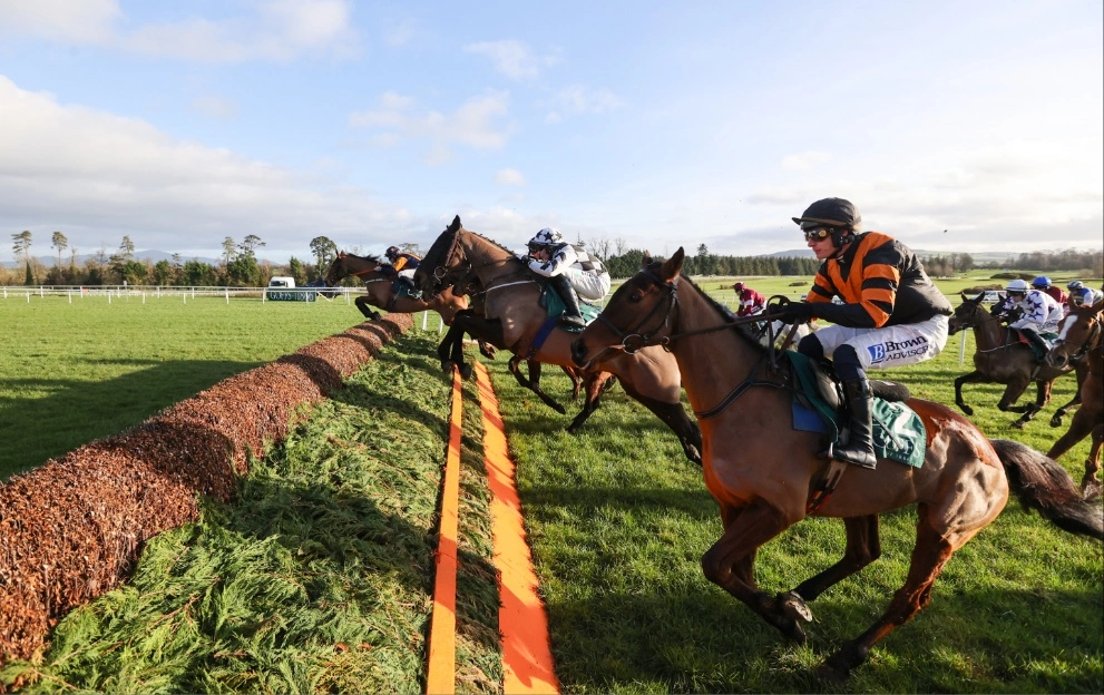 Gowran Park Thyestes Chase trends for Thursday 3.30 – Paddy Power News