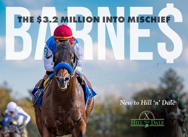 Hill 'n' Dale (Barnes) 1-15-25