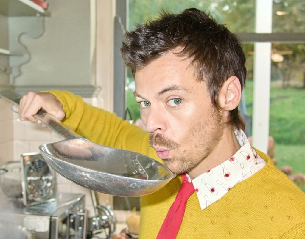 Harry Styles tour announcement pictures