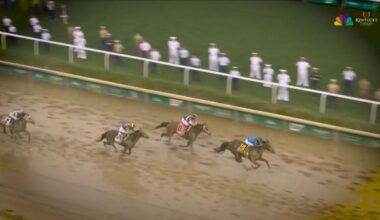 Who Will Be Crowned Horse of the Year at 55th Annual Eclipse Awards?