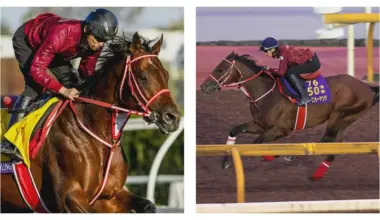 After making history yet again, where next for Japanese star Forever Young in 2026? — Sports News Blitz