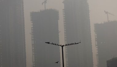 India detains environmental activist over anti-fossil fuel work