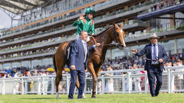 Calandagan Honored as 2025 World’s Best Racehorse, Forever Young and Sovereignty Among Group Tied for Second