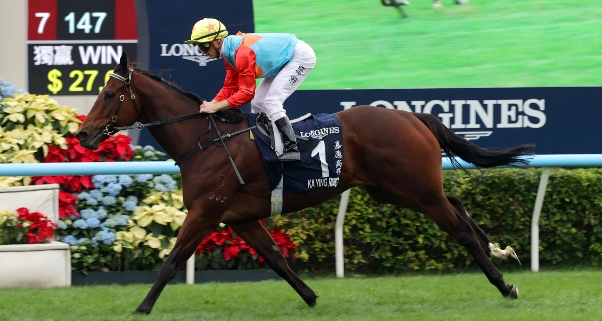 What Factors Are Shaping Irish Horse Racing Betting Trends This Season?