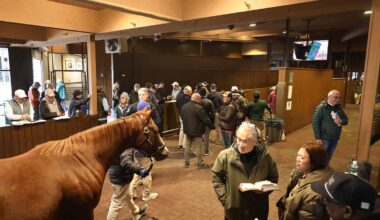 Keeneland January Concludes With Day Of 'Solid Trading'